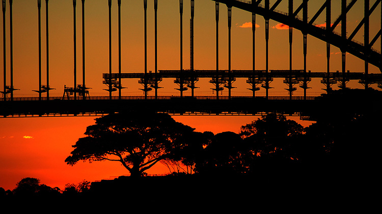 Sydney Harbour walk