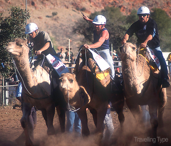 Alice Springs camel cup