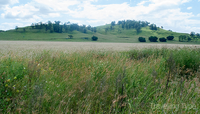 field