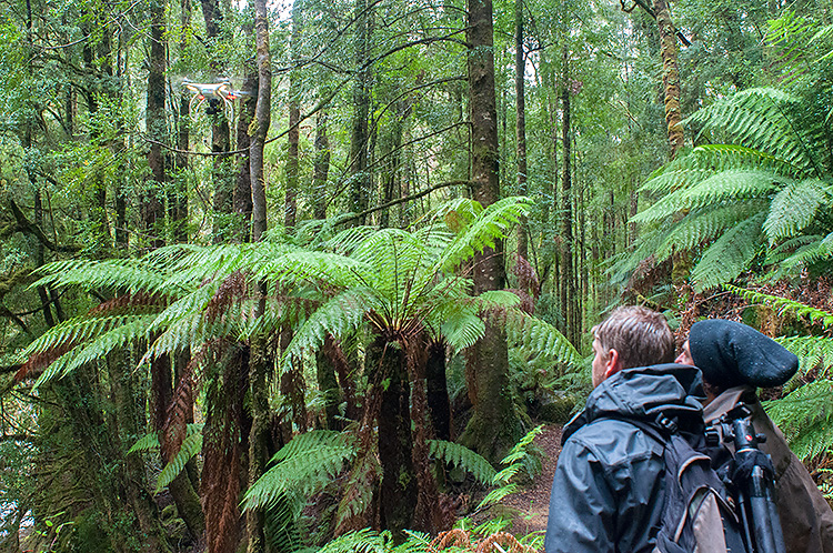 Pillinger, Tasmania