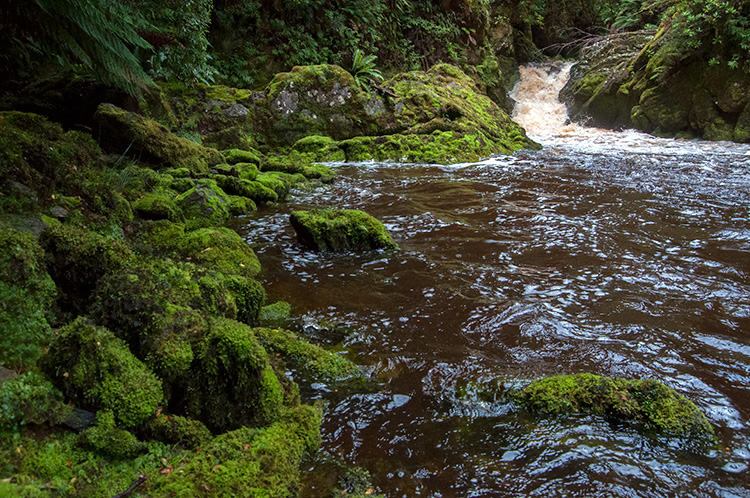 Pillinger, Tasmania